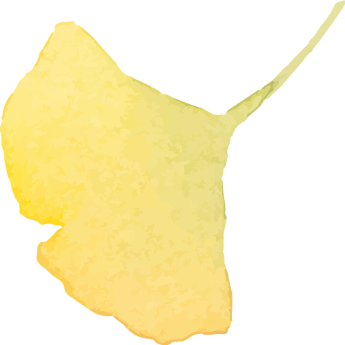com, src, 更喜欢抽奖