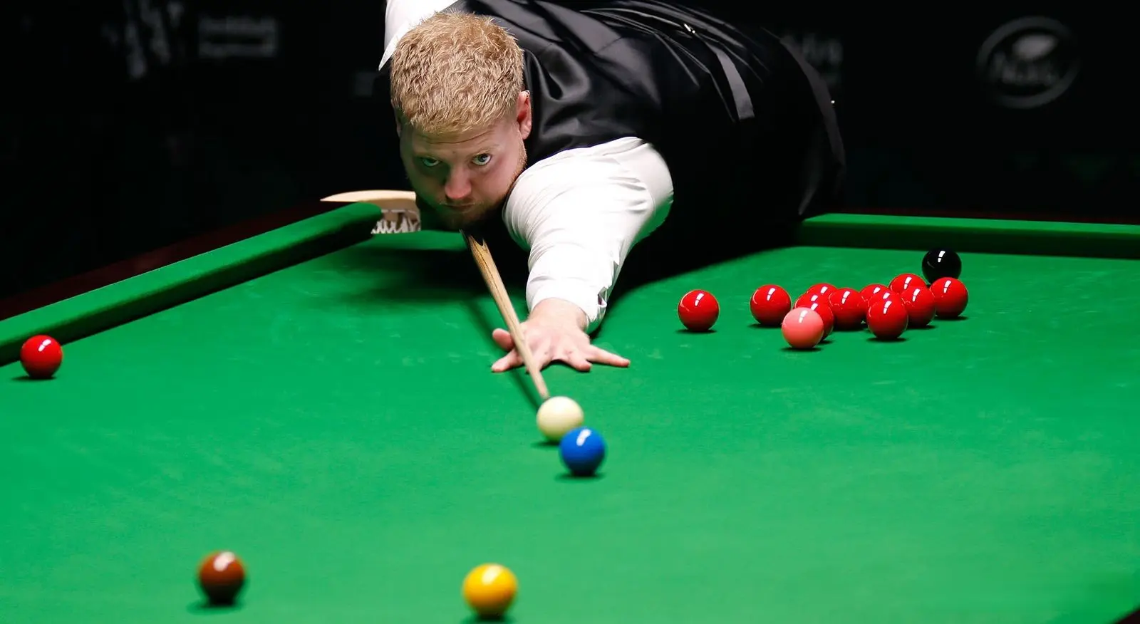 穆迪vs麦, 来的几个月