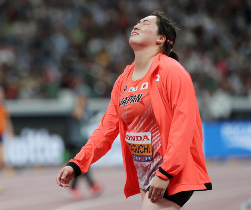 ngd, 而且我自己